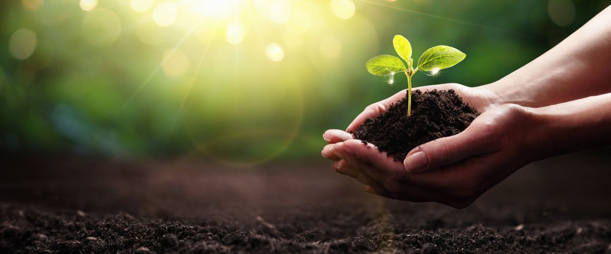 Washington sustainability