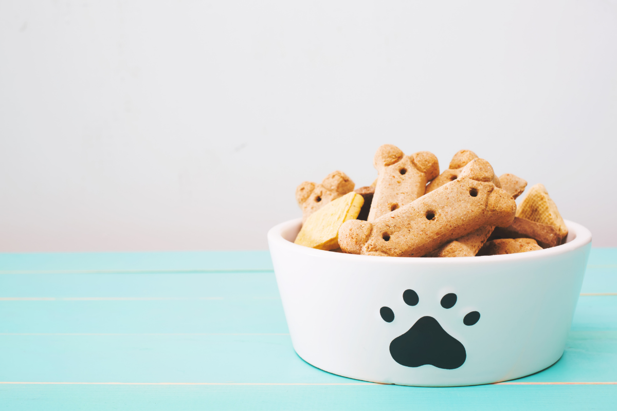 Dog friendly restaurant Washington